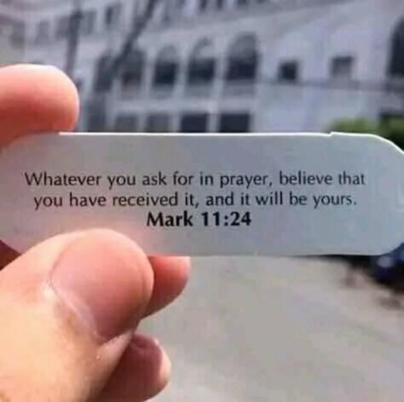 Meet your Posher, Davy - Picture 1 of 1